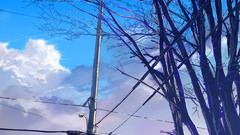 Clouds Trees power lines