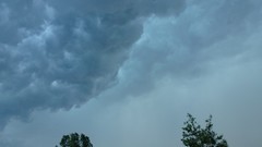 Clouds Trees skyscapes