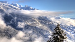 Clouds Trees snow landscapes