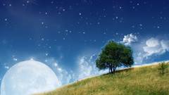 Clouds Trees Stars moon