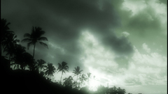 Clouds tropical palm trees