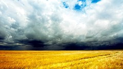 Clouds wheat storm fields