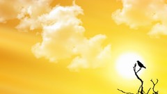 Clouds yellow skyscapes