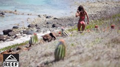 Coast ass bikini Miss Reef Brazilian Bikinis