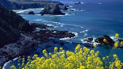 Coast California Pacific