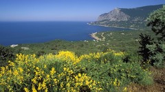 Coast south Ukraine black sea Riviera