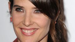 Cobie smulders