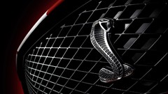 Cobra Shelby complex magazine