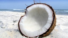 Coconut