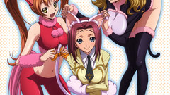 Code geass animal ears