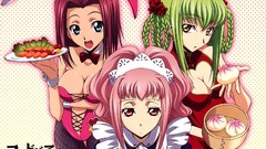 Code geass bunny girls