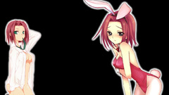 Code geass bunny girls