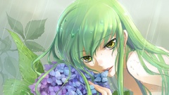 Code geass C &