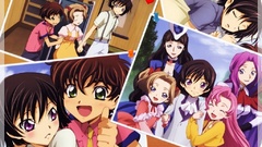 Code geass Cornelia li