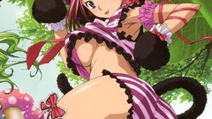 Code geass nekomimi Stadtfeld