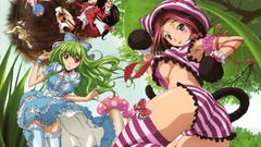 Code geass nekomimi Sumeragi