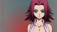 Code geass Stadtfeld Kallen