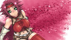 Code geass Stadtfeld Kallen