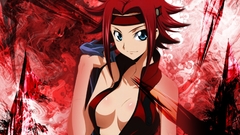 Code geass Stadtfeld Kallen