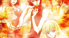 Code geass Stadtfeld Kallen