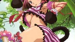 Code geass Stadtfeld Kallen