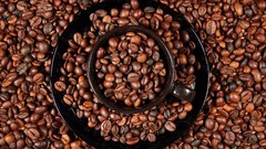 Coffee Beans Coffy