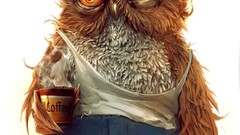 Coffee cafe Owls