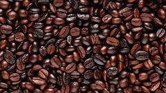 Coffee Coffee Beans