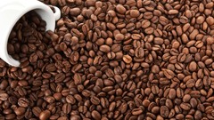 Coffee Coffee Beans