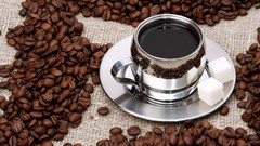 Coffee Coffee Beans drinks