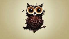 Coffee Coffee Beans funny cups Owls