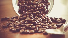 Coffee Coffee Beans vintage