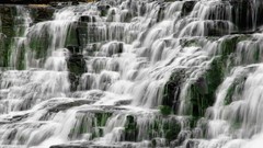 Coffee falls Tennessee