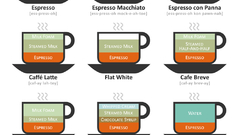 Coffee infographics Food and