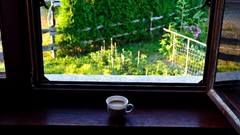 Coffee morning window panes