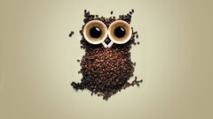 coffee owl Coffee Beans creativity Birds Animals digital art cup