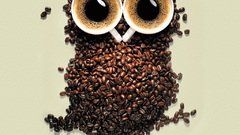 Coffee Owls