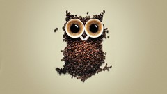 Coffee Owls coffee cups