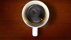 Coffee phoenix wright Anime