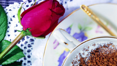 Coffee rose better love