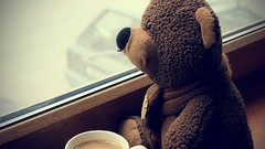 Coffee stuffed animals Bears