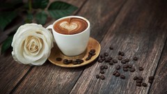 Coffee white roses Wood drinking beans