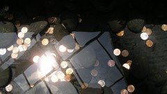 Coins