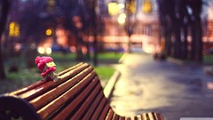 Cold abstract bench evening vintage bokeh danboard amazon