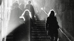 Cold light morning monochrome stairways