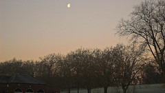 Cold morning frosty january