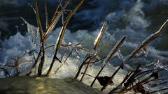 Cold river water stream