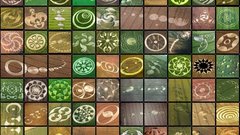 Collage Crop Circles