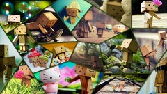 Collage danboard