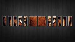 collage digital art texture pattern Animals